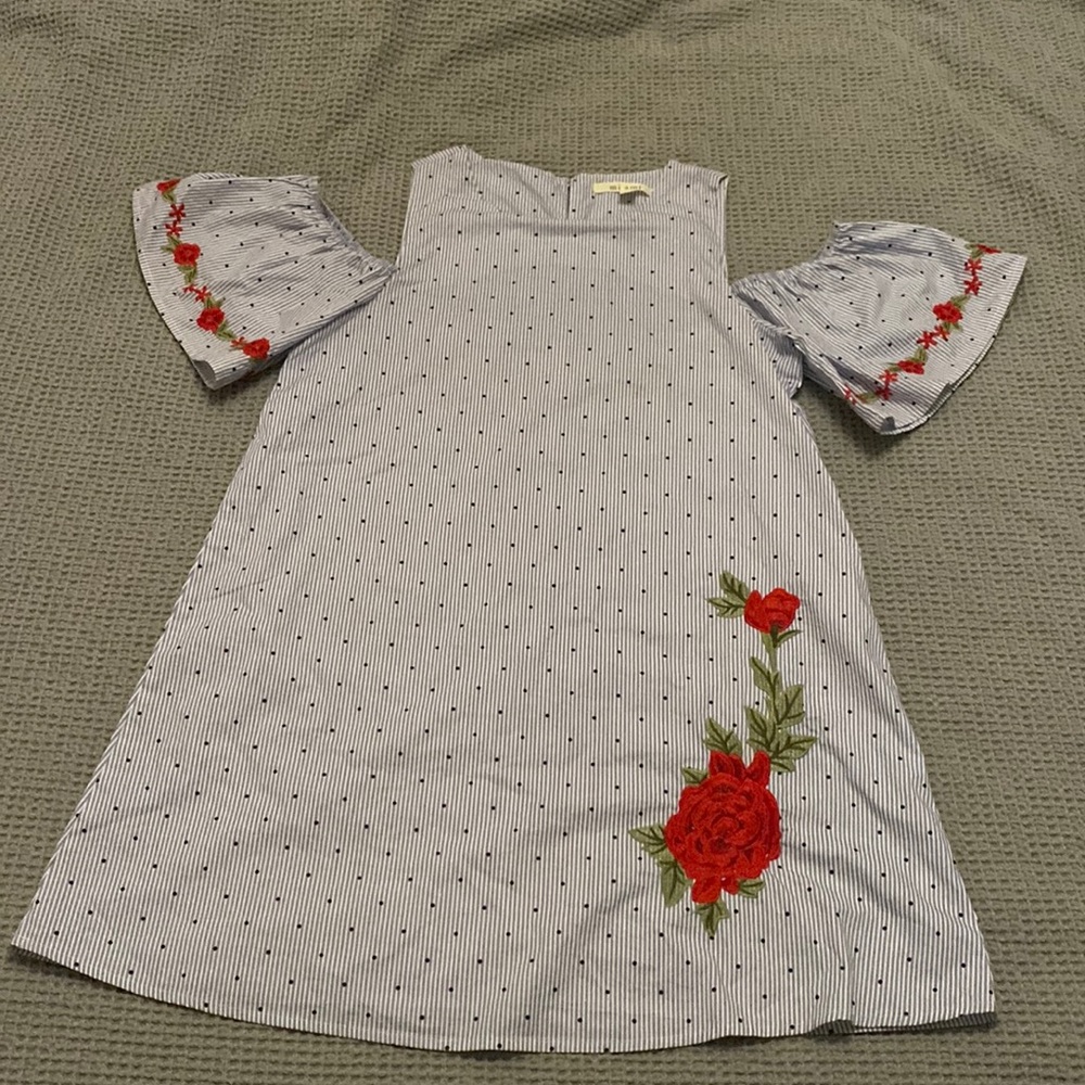 Mi Ami (Francesca’s) embroidered polka dot dress